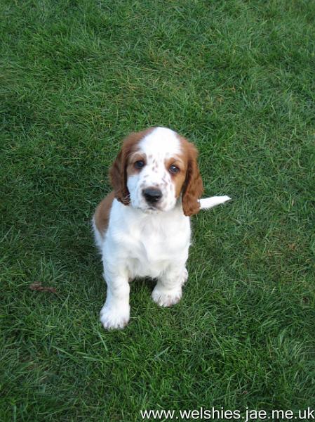 2009-04-01 01.JPG - Don't I look sweet!